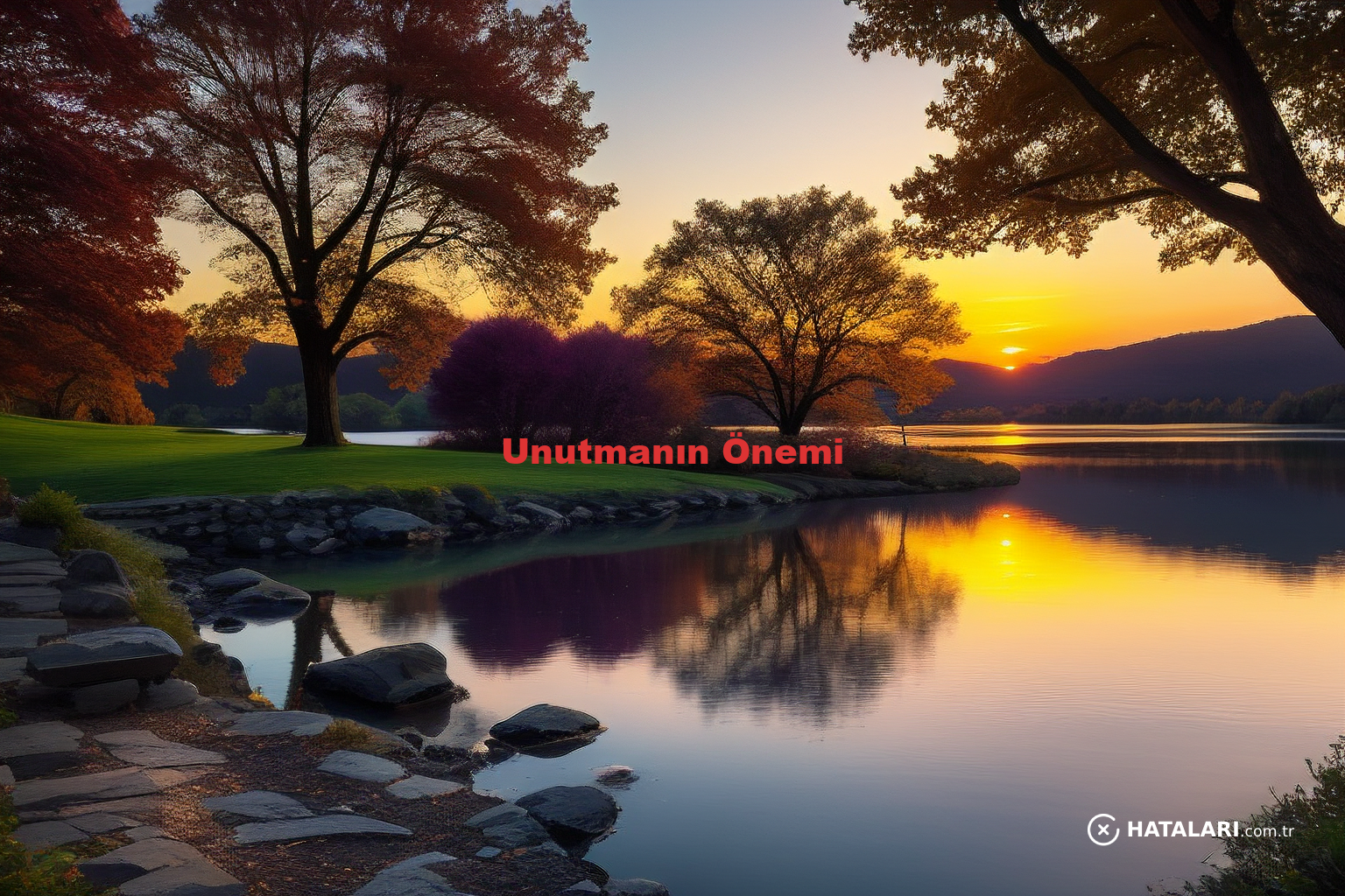 Unutmanın Önemi
