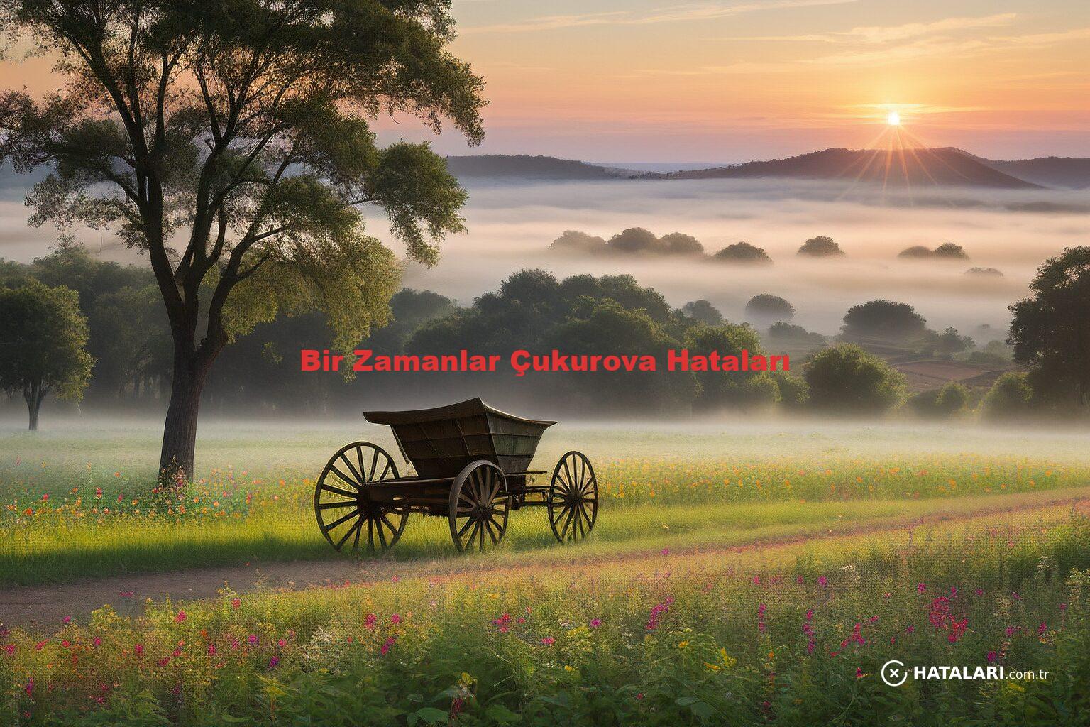 Bir Zamanlar Çukurova Hataları