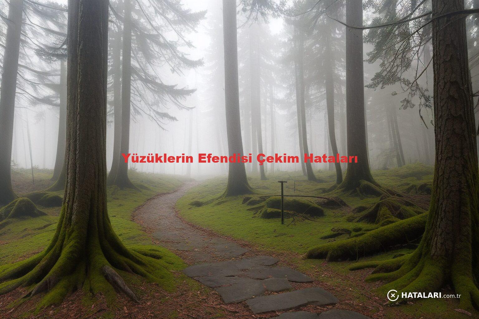 Yüzüklerin Efendisi Çekim Hataları