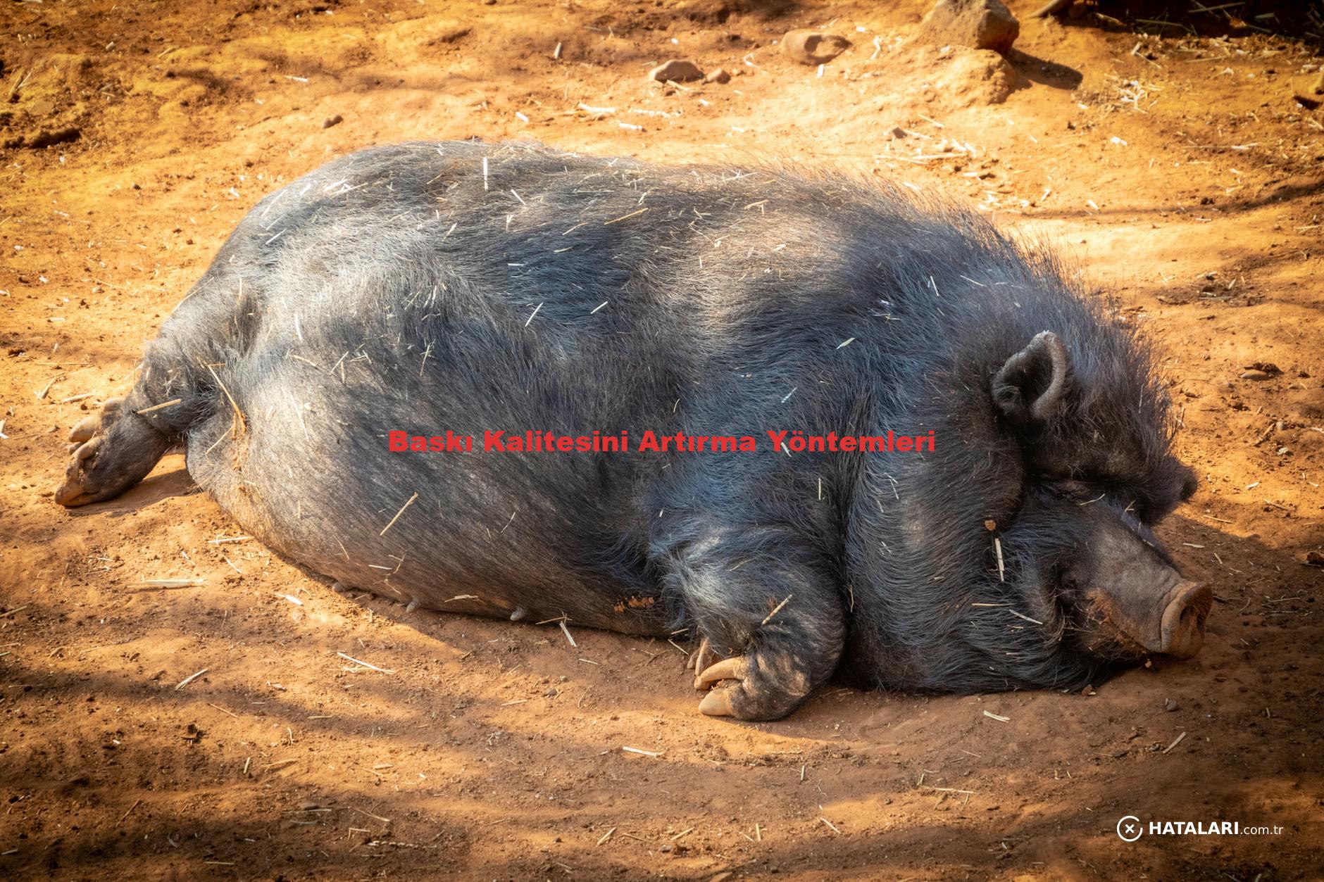 Baskı Kalitesini Artırma Yöntemleri