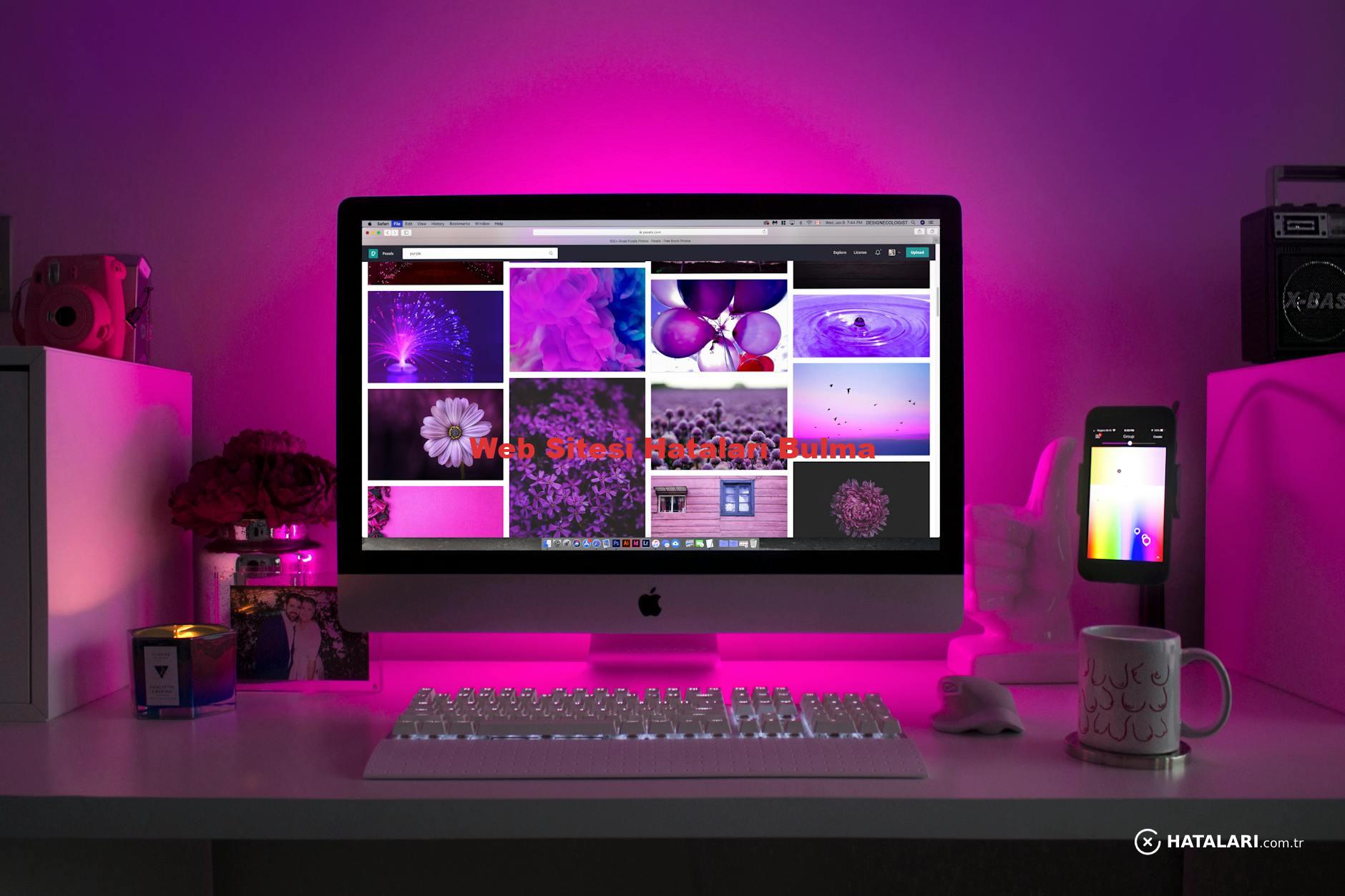 Web Sitesi Hataları Bulma