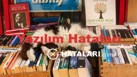 Yazılım Hataları