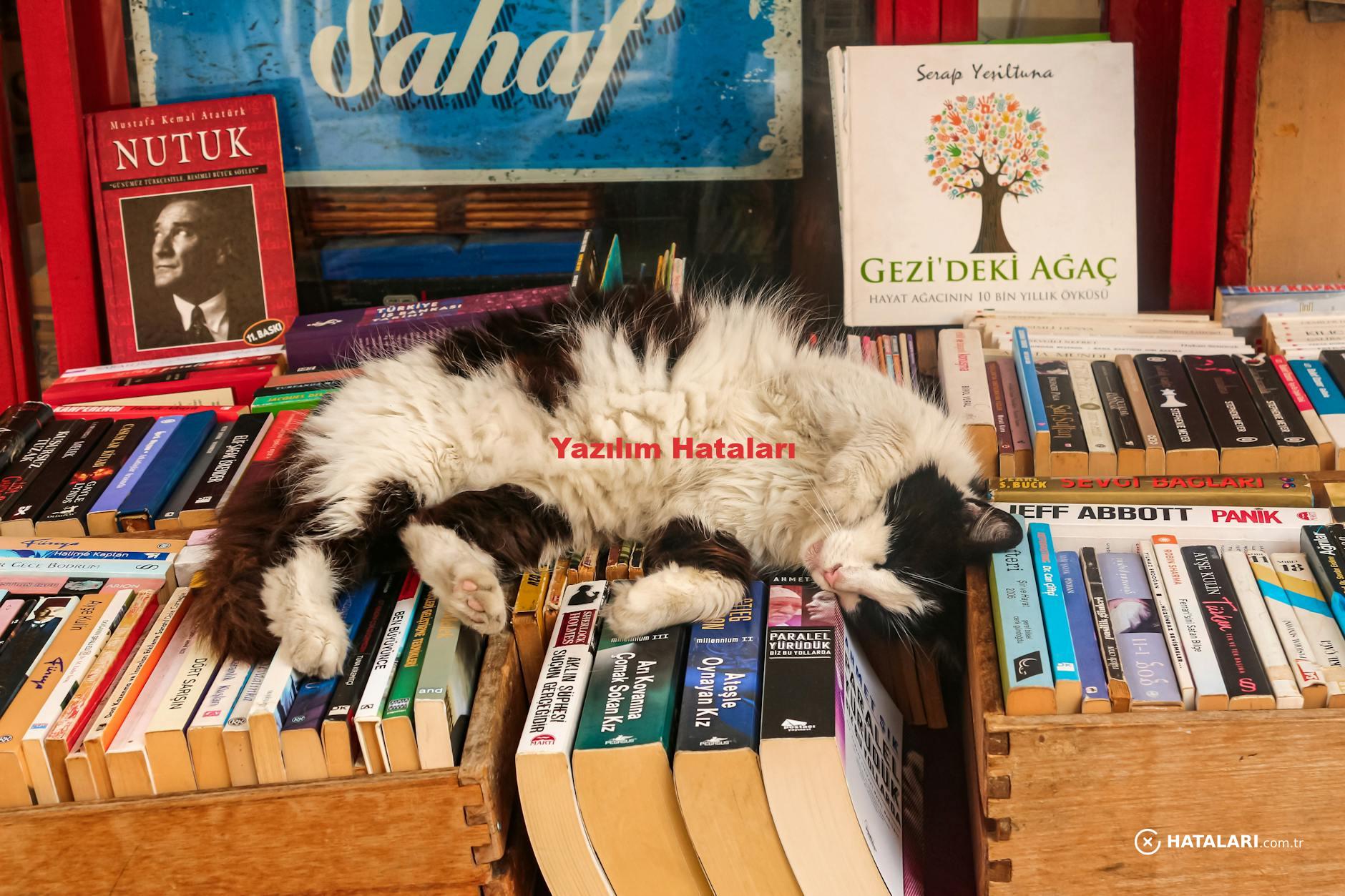 Yazılım Hataları