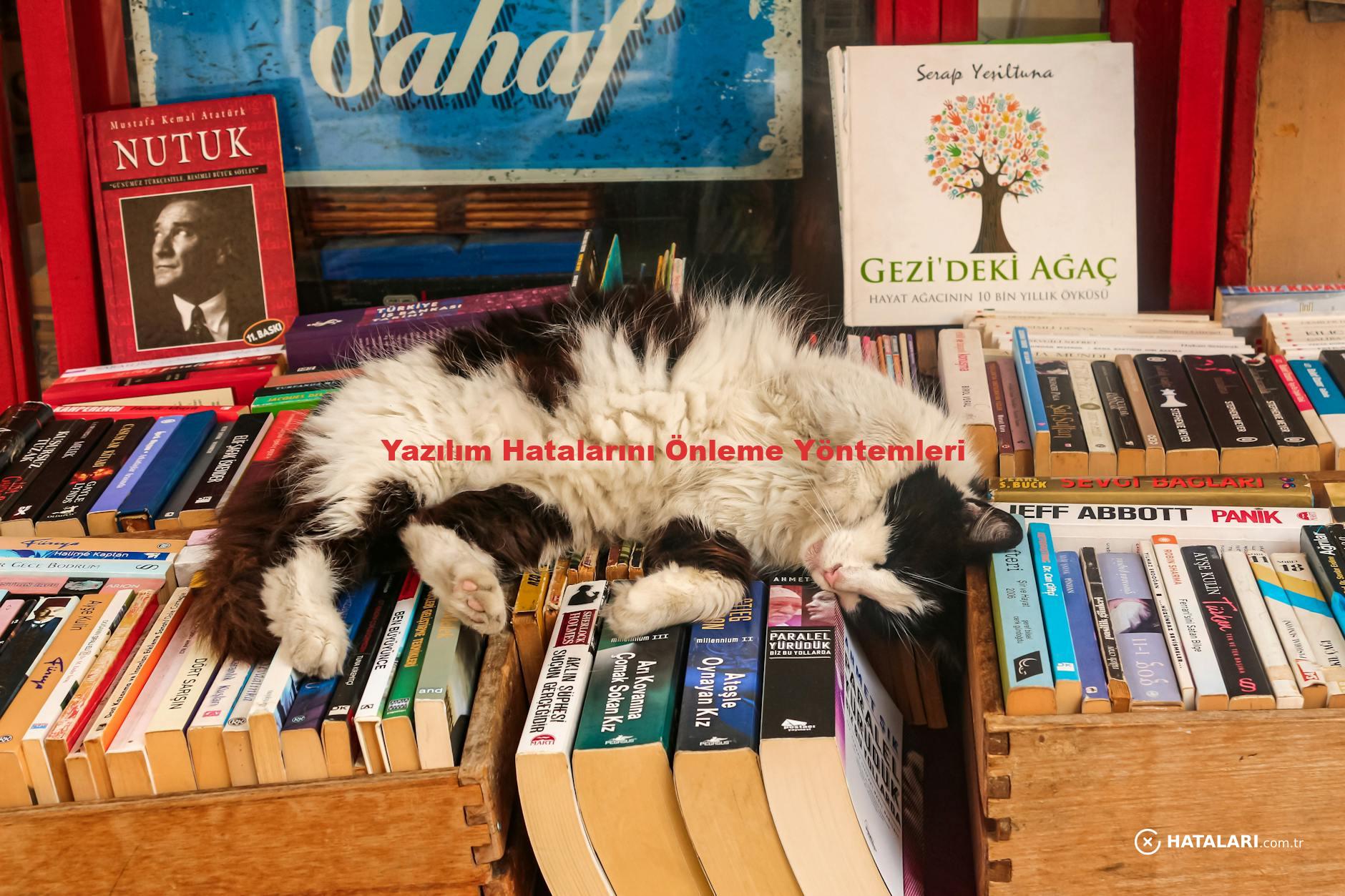 Yazılım Hatalarını Önleme Yöntemleri