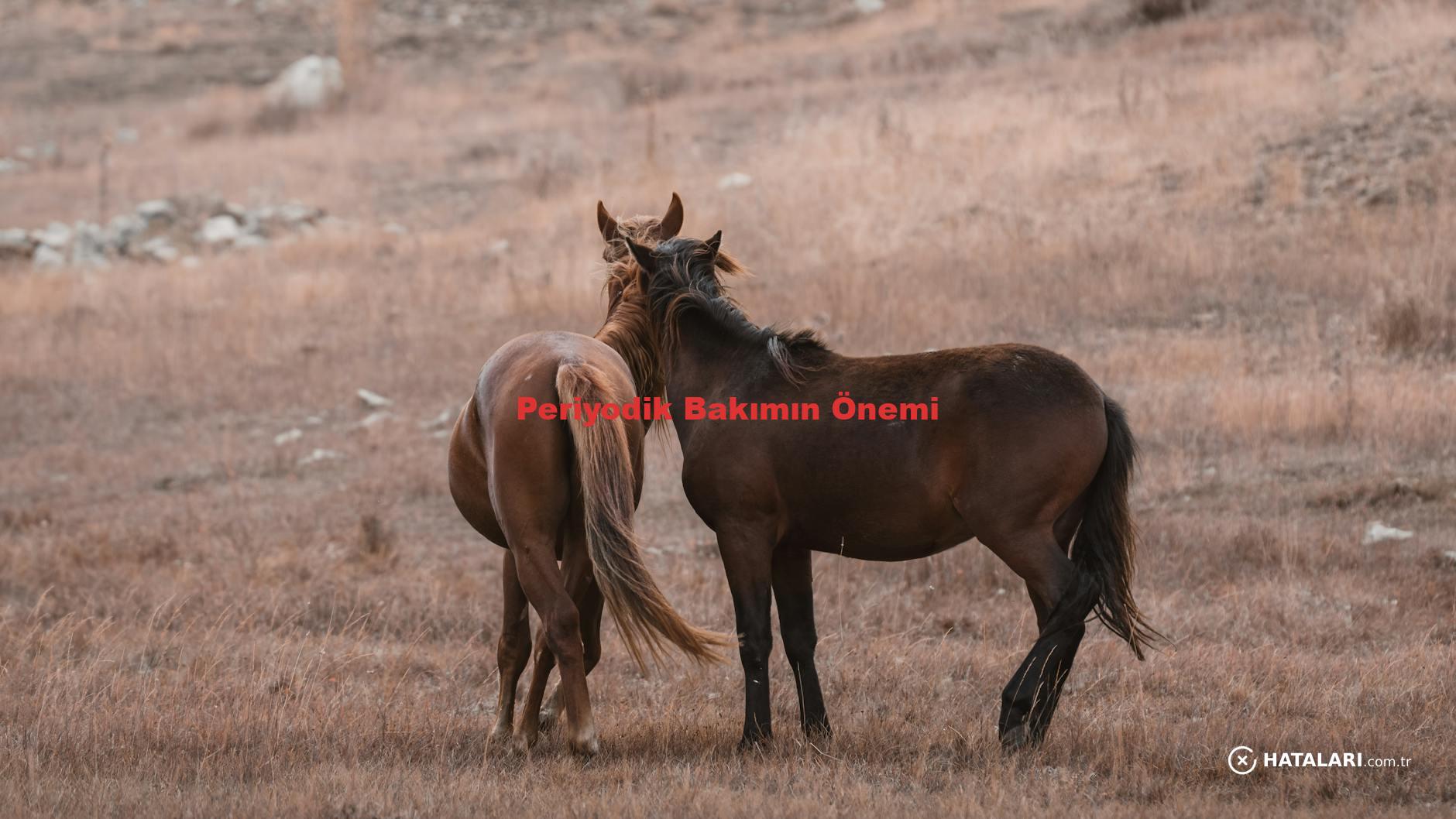 Periyodik Bakımın Önemi