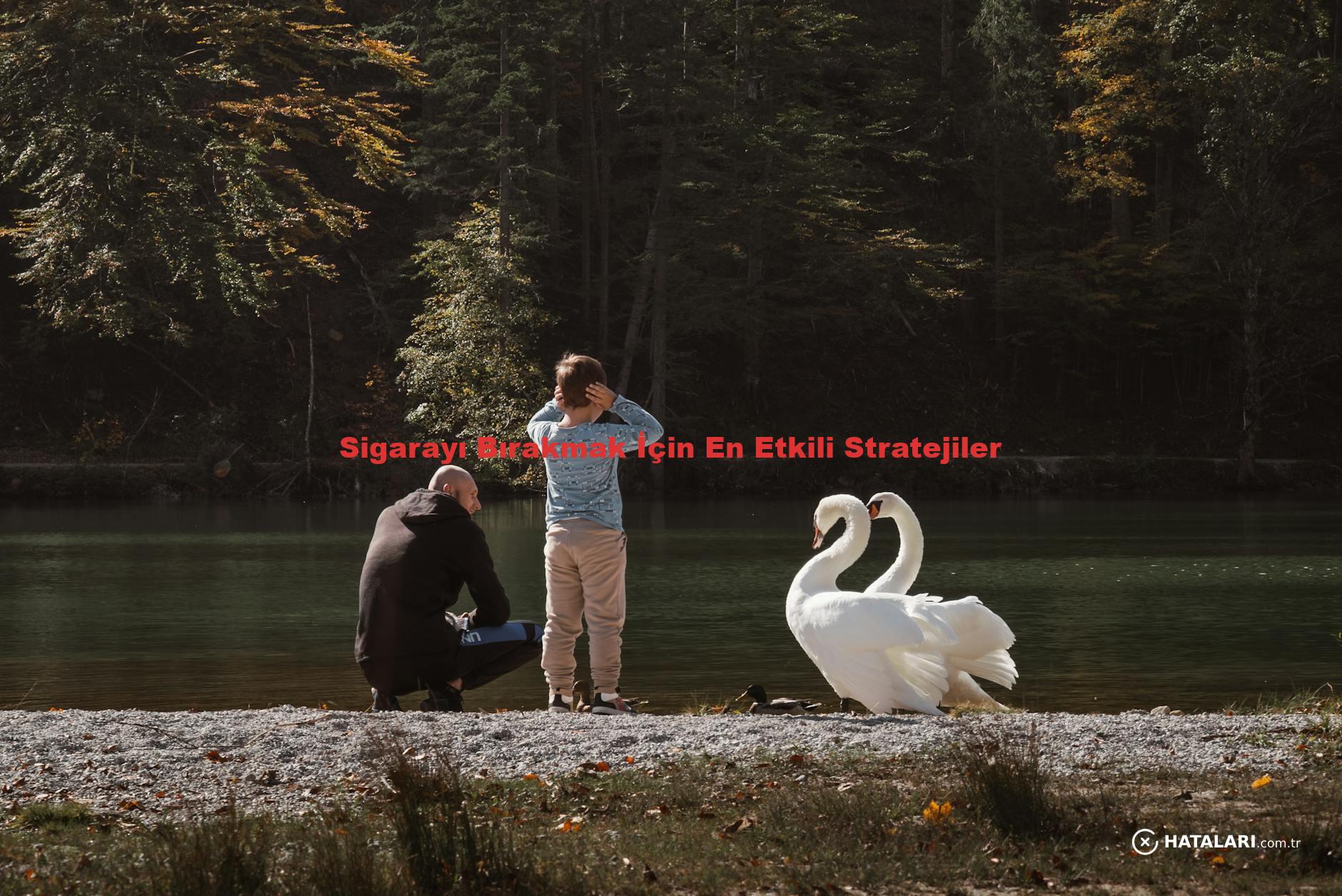 Sigarayı Bırakmak İçin En Etkili Stratejiler