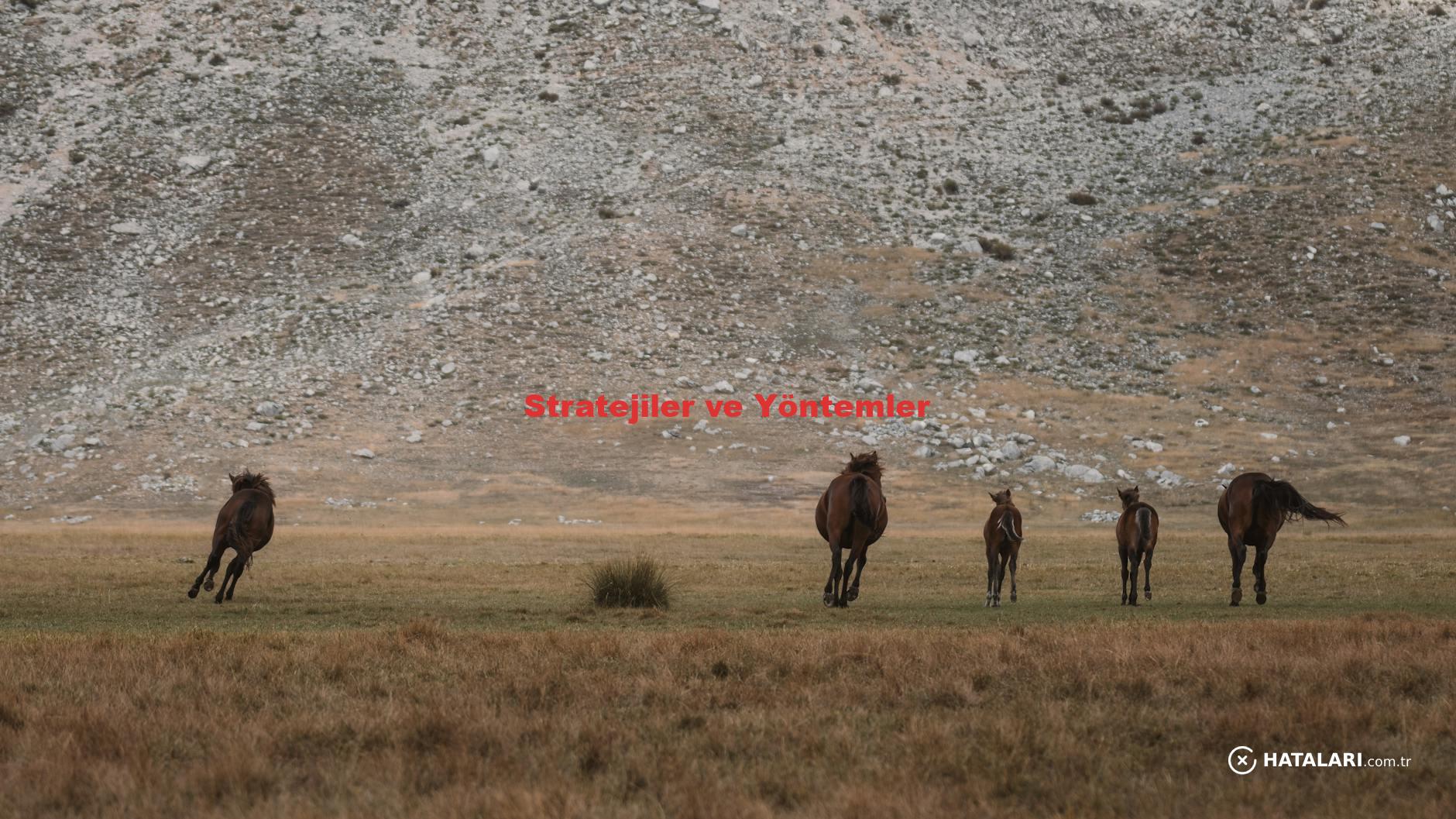 Stratejiler ve Yöntemler
