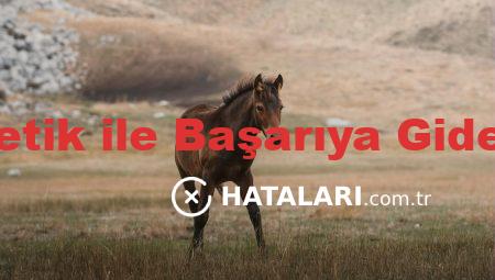 Fason Kozmetik ile Başarıya Giden Stratejiler