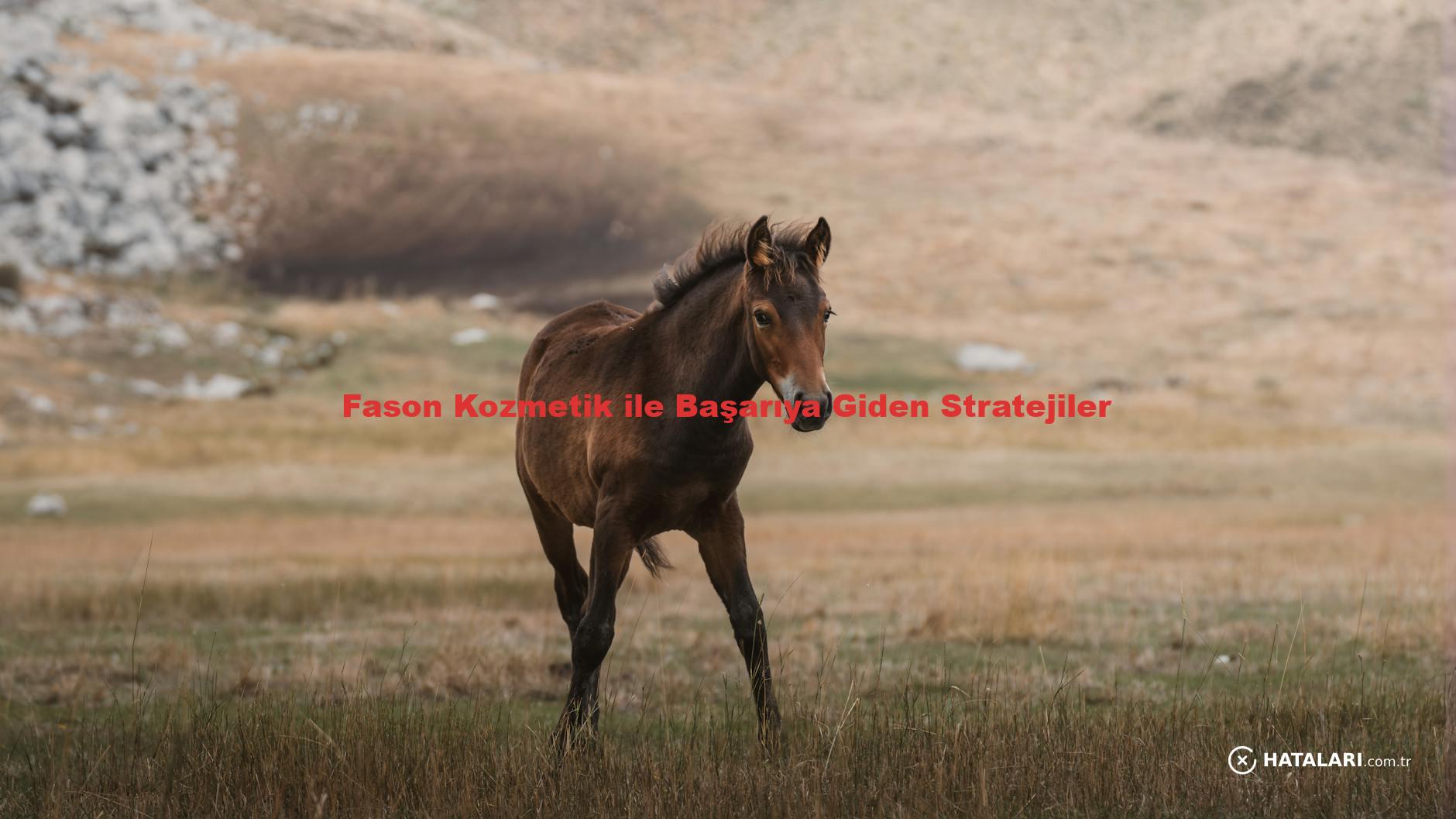 Fason Kozmetik ile Başarıya Giden Stratejiler