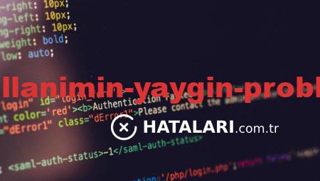 Hataları ve Kullanımın Yaygın Problemleri Analizi
