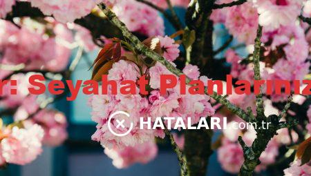Almanca Aylar: Seyahat Planlarınızı Kolaylaştırın