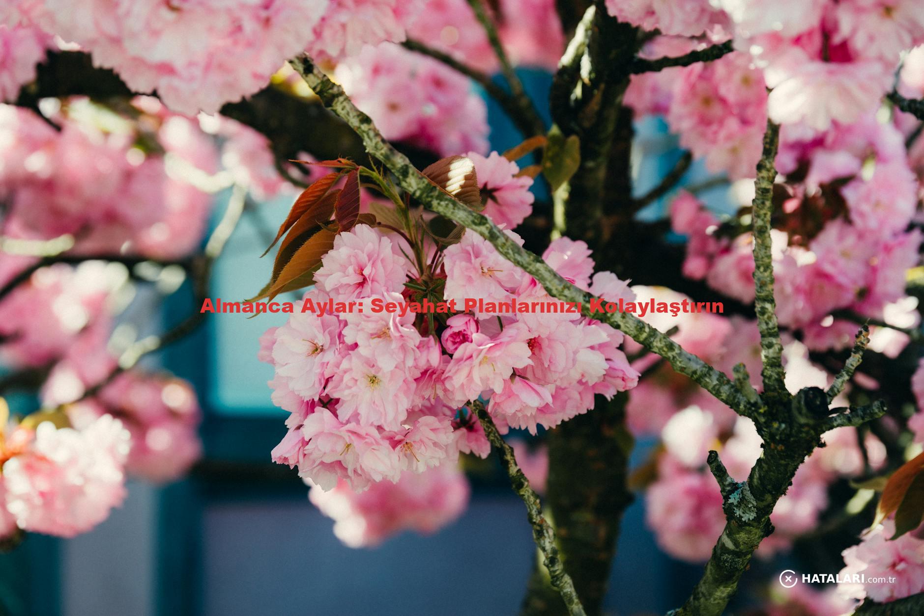 Almanca Aylar: Seyahat Planlarınızı Kolaylaştırın