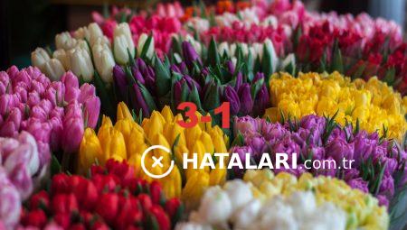 Bursa’da Çiçek Gönderiminde Hızlı ve Güvenilir Yöntemler