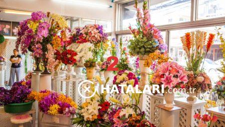 Çiçek Gönderiminde Floksia’nın Mükemmel Seçenekleri