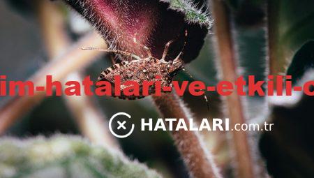 Yazılım Kullanım Hataları ve Etkili Onarım İpuçları