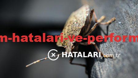 Yazılım Kullanım Hataları ve Performansı Düzeltme Yöntemleri