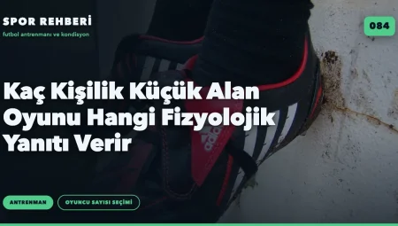 Kaç Kişilik Küçük Alan Oyunu Hangi Fizyolojik Yanıtı Verir