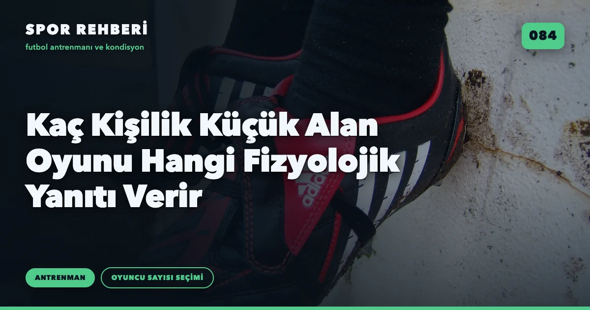 Kaç Kişilik Küçük Alan Oyunu Hangi Fizyolojik Yanıtı Verir